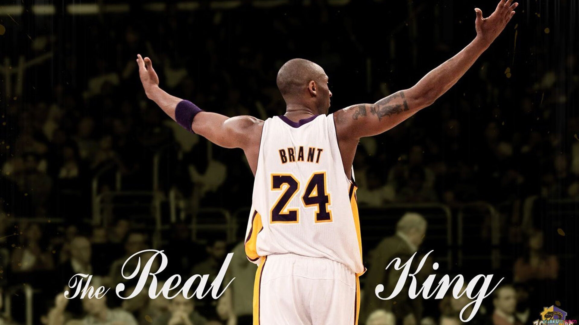 英国网球公开赛四强全部产生，英国网球运动